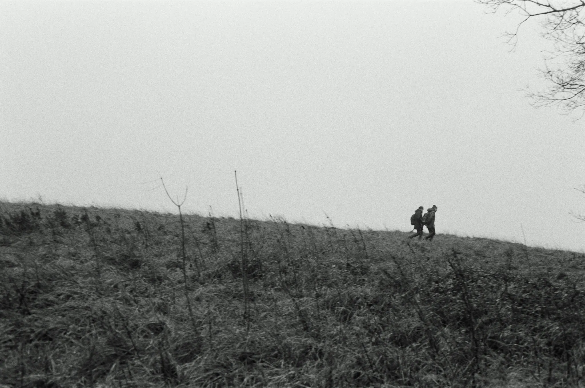 Black-and-white photograph from Worthing, Christmas 2023