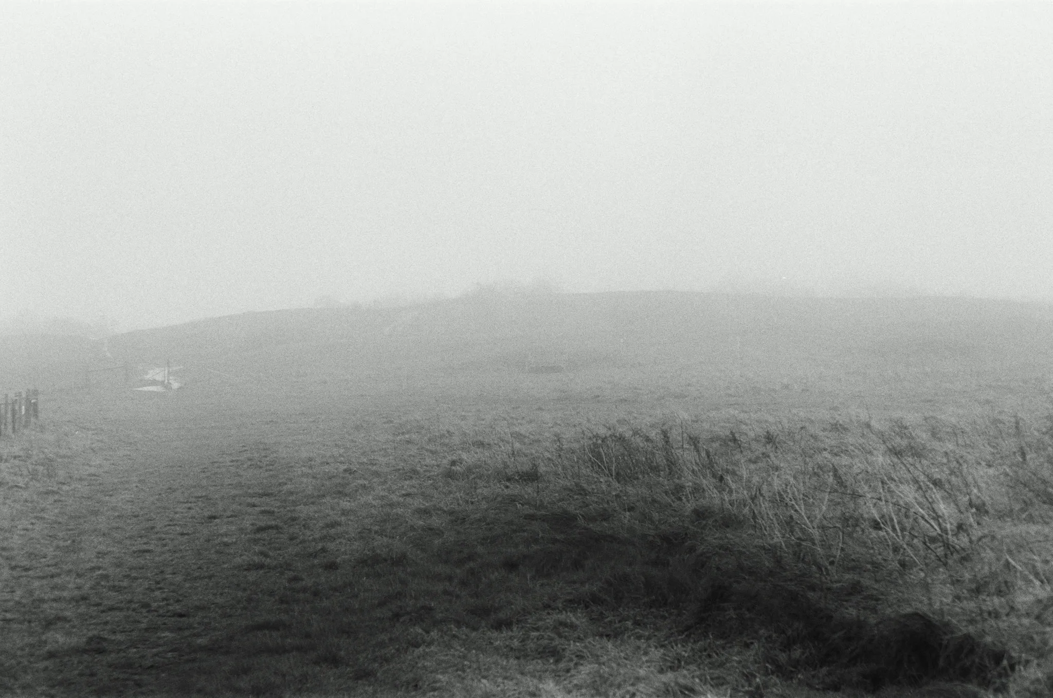 Black-and-white photograph from Worthing, Christmas 2023