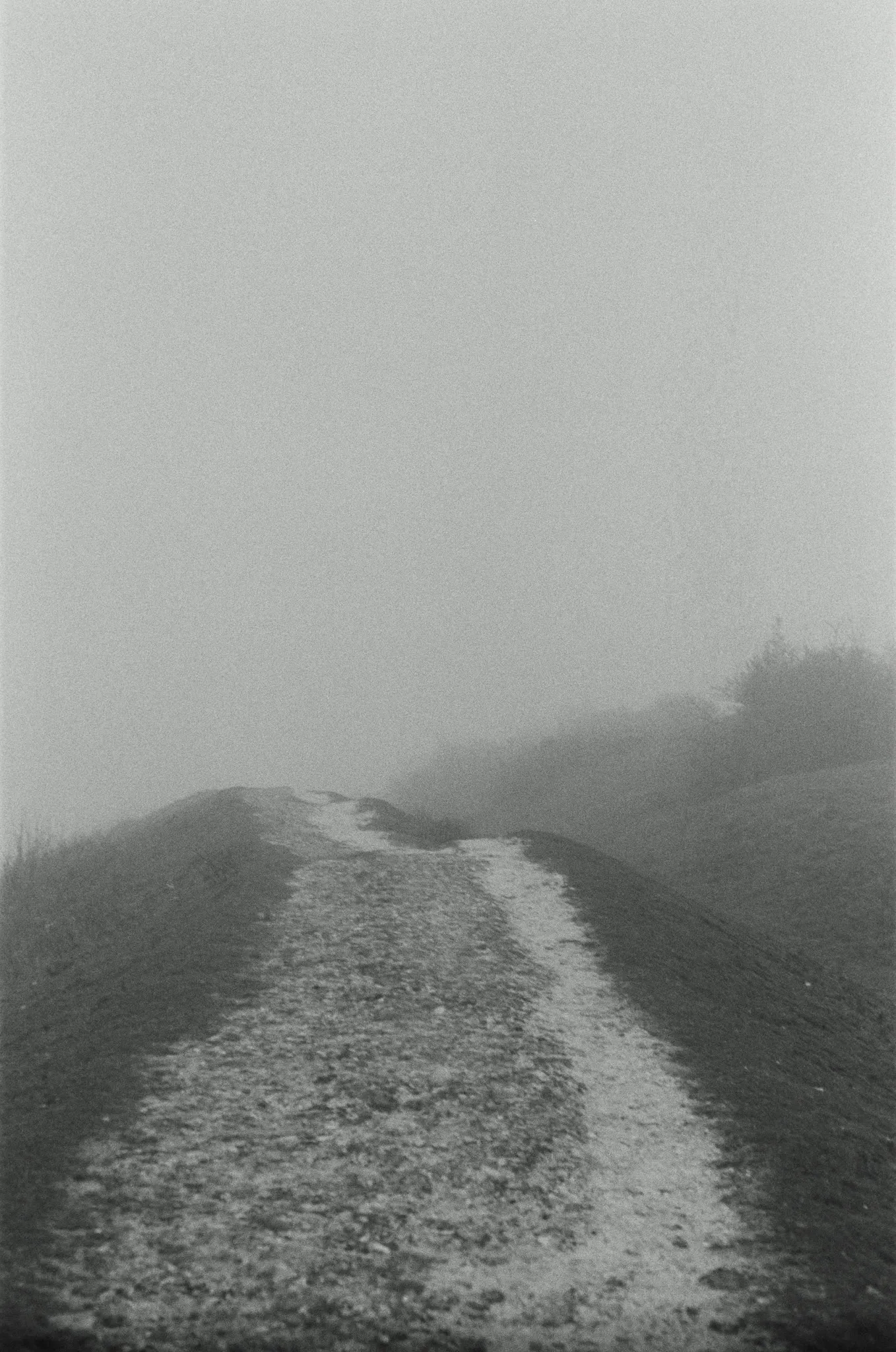 Black-and-white photograph from Worthing, Christmas 2023